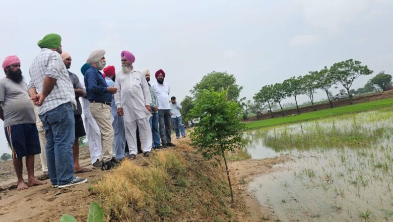 ਝੋਨੇ ਦੀ ਸਿੱਧੀ ਬਿਜਾਈ ਤਕਨੀਕ ਅਪਣਾਉਣ ਵਾਲੇ ਕਿਸਾਨ 30 ਜੂਨ ਤਕ ਆਨਲਾਈਨ ਪੋਰਟਲ ਤੇ ਨਾਮ ਦਰਜ ਕਰਾਉਣ : ਮੁੱਖ ਖੇਤੀਬਾੜੀ ਅਫ਼ਸਰ