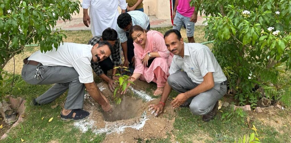 Whatsapp image 2024 06 27 at 3.28.18 pm