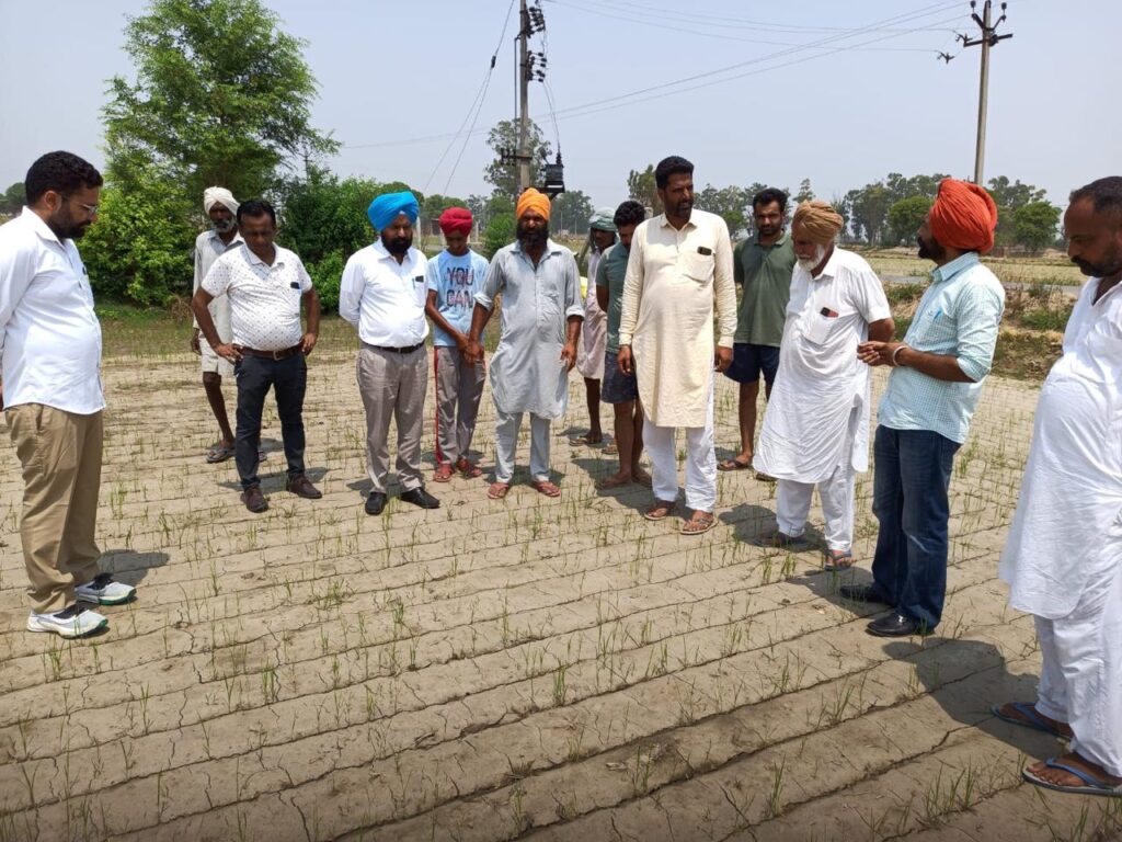 Whatsapp image 2024 06 28 at 1.18.48 pm (2)
