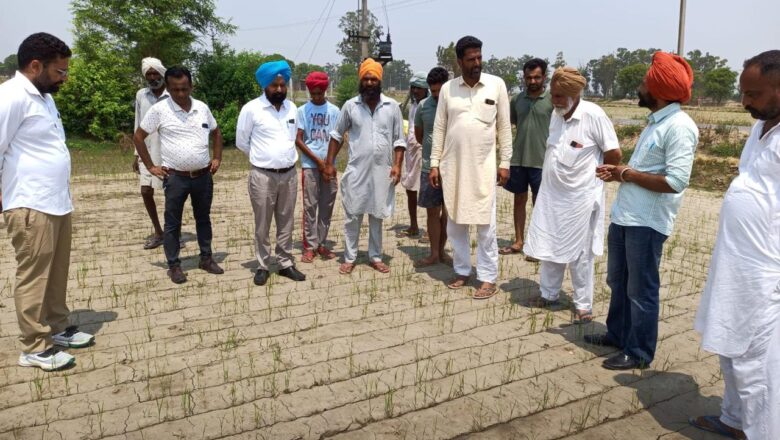ਝੋਨੇ ਅਤੇ ਬਾਸਮਤੀ ਦੀ ਸਿੱਧੀ ਬਿਜਾਈ ਤੇ 1500 ਰੁ: ਪ੍ਰਤੀ ਏਕੜ ਪ੍ਰੋਤਸਾਹਨ ਰਾਸ਼ੀ ਪ੍ਰਾਪਤ ਕਰਨ ਲਈ 30 ਜੂਨ ਤੱਕ ਰਜਿਸਟ੍ਰੇਸ਼ਨ ਕਰਾਉਣੀ ਜ਼ਰੂਰੀ – ਮੁੱਖ ਖੇਤੀਬਾੜੀ ਅਫਸਰ