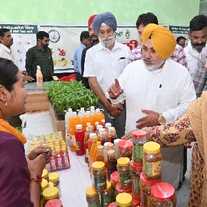 ਪਠਾਨਕੋਟ ਦੀ ਲੀਚੀ ਦੀ ਸਭ ਤੋਂ ਪਹਿਲੀ ਖੇਪ ਐਕਸਪੋਰਟ ਕਰਨ ਲਈ ਬਾਗ਼ਬਾਨੀ ਤੇ ਸਬੰਧਤ ਵਿਭਾਗ ਵੱਲੋਂ ਤਿਆਰੀਆਂ ਜ਼ੋਰਾਂ ‘ਤੇ