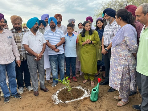 ਡਿਪਟੀ ਕਮਿਸ਼ਨਰ ਸਾਕਸ਼ੀ ਸਾਹਨੀ ਦੀ ਅਗਵਾਈ ਹੇਠ ਜ਼ਿਲ੍ਹਾ ਲੁਧਿਆਣਾ ਦੇ ਵੱਖ-ਵੱਖ ਥਾਵਾਂ ‘ਤੇ 1.33 ਲੱਖ ਬੂਟੇ ਲਗਾਉਣ ਦੀ ਵਿਸ਼ਾਲ ਮੁਹਿੰਮ ਚਲਾਈ ਗਈ