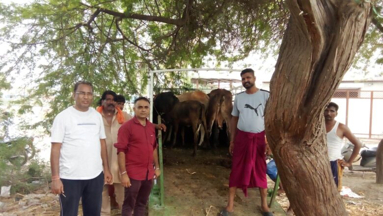 ਨਗਰ ਕੌਂਸਲ ਵੱਲੋਂ ਵਿਸ਼ੇਸ਼ ਮੁਹਿੰਮ ਚਲਾਉਂਦਿਆਂ 200 ਗਉਵੰਸ਼ ਨੂੰ ਗਉਸ਼ਾਲਾਵਾਂ ਵਿਖੇ ਭੇਜਿਆ