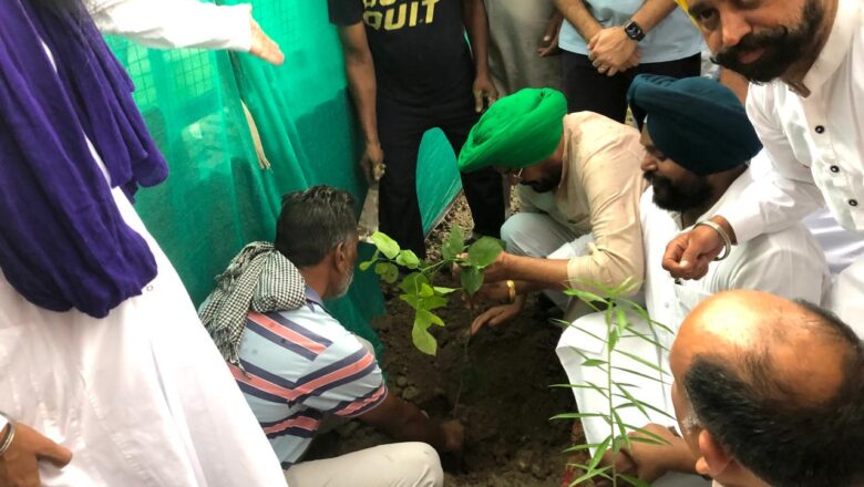 ਵਾਤਾਵਰਨ ਦੀ ਸੰਭਾਲ ਲਈ ਵੱਧ ਤੋਂ ਵੱਧ ਬੂਟੇ ਲਗਾਓ – ਧਾਲੀਵਾਲ