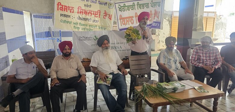 ਸਾਉਣੀ ਦੀ ਫ਼ਸਲਾਂ ਵਿਚ ਕਿਸੇ ਕਿਸਮ ਦੀ ਸਮੱਸਿਆ ਦੇ ਹੱਲ ਲਈ ਖੇਤੀ ਮਾਹਿਰਾਂ ਨਾਲ ਸੰਪਰਕ ਕੀਤਾ ਜਾਵੇ : ਮੁੱਖ ਖੇਤੀਬਾੜੀ ਅਫਸਰ