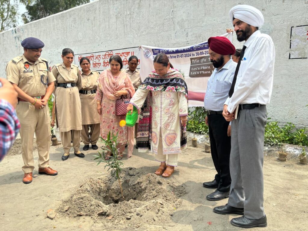 DLSA Plantation Drive (2)