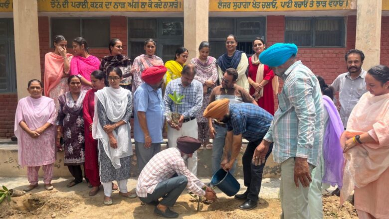 ਵਾਤਵਰਣ ਬਚਾਓ ਮੁਹਿੰਮ ਤਹਿਤ ਖੇਤੀਬਾੜੀ ਵਿਭਾਗ ਵੱਲੋਂ ਵੱਖ-ਵੱਖ ਤਰ੍ਹਾਂ ਦੇ 100 ਪੌਦੇ ਲਗਾਏ