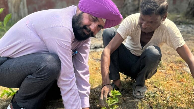 ‘‘ਹਰ ਮਨੁੱਖ ਲਾਵੇ ਇਕ ਰੁੱਖ’’ ਮੁਹਿੰਮ ਤਹਿਤ ਜ਼ਿਲ੍ਹਾ ਰੱਖਿਆ ਸੇਵਾਵਾਂ ਭਲਾਈ ਦਫ਼ਤਰ ਵਿਖੇ ਲਗਾਏ ਗਏ ਰੁੱਖ