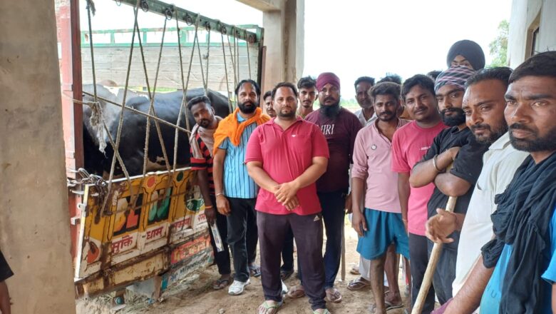 ਅਬੋਹਰ ਦੀ ਕੜਾਕਾ ਸਿੰਘ ਢਾਣੀ ਦੇ ਨਿਵਾਸੀਆਂ ਨੂੰ ਅਵਾਰਾ ਲੜਾਕੂ ਪਸ਼ੂਆਂ ਦੀ ਸਮੱਸਿਆ ਤੋਂ ਮਿਲੀ ਨਿਜਾਤ, ਡਿਪਟੀ ਕਮਿਸ਼ਨਰ ਦਾ ਕੀਤਾ ਧੰਨਵਾਦ