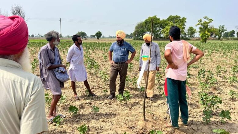 ਖੇਤੀਬਾੜੀ ਅਤੇ ਕਿਸਾਨ ਭਲਾਈ ਵਿਭਾਗ ਦੀਆਂ ਟੀਮਾਂ ਵੱਲੋਂ  ਨਰਮੇ ਦੀ ਫਸਲ ਦਾ ਨਿਰੀਖਣ ਕਰਨ ਦਾ ਕੰਮ ਲਗਾਤਾਰ ਜਾਰੀ