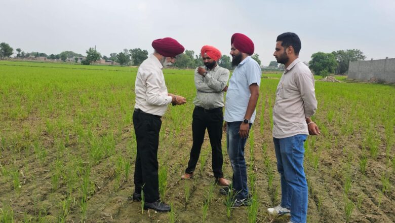 ਝੋਨੇ ਦੀ ਸਿੱਧੀ ਬਿਜਾਈ ਤਕਨੀਕ ਅਪਣਾਉਣ ਵਾਲੇ ਕਿਸਾਨ 15 ਜੁਲਾਈ ਤੱਕ ਆਨ ਲਾਈਨ ਪੋਰਟਲ ਤੇ ਨਾਮ ਦਰਜ ਕਰਵਾ ਸਕਦੇ ਹਨ : ਮੁੱਖ ਖੇਤੀਬਾੜੀ ਅਫ਼ਸਰ