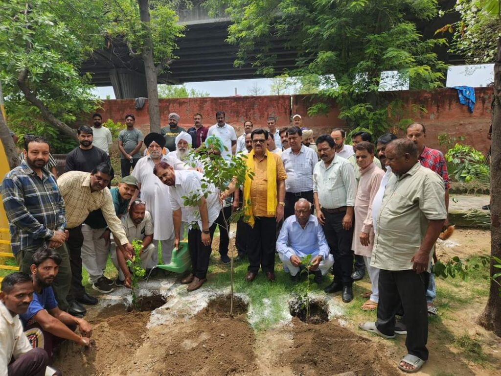 Plantation drive (2)