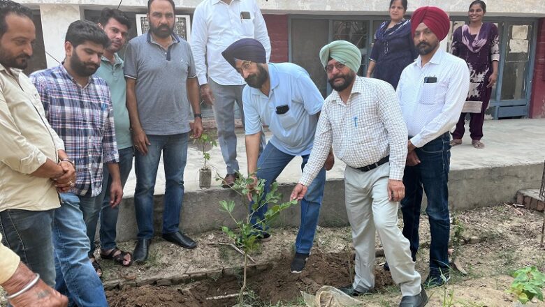 ਵਾਤਾਵਰਣ ਨੂੰ ਹਰਾ ਭਰਾ ਬਨਾਉਣ ਦੇ ਮੱਦੇ ਨਜ਼ਰ ਜਿ਼ਲ੍ਹਾ ਵਿਕਾਸ ਤੇ ਪੰਚਾਇਤ ਅਫਸਰ ਨੇ ਲਗਾਏ ਪੌਦੇ