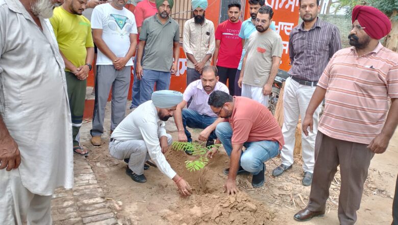 ਖੇਤਾਂ ਵਿੱਚ ਲੱਗੇ ਟਿਊਬਵੈਲਾਂ ਤੇ ਲਗਵਾਏ ਜਾ ਰਹੇ ਹਨ ਬੂਟੇ: ਮੁੱਖ ਖੇਤੀਬਾੜੀ ਅਫ਼ਸਰ