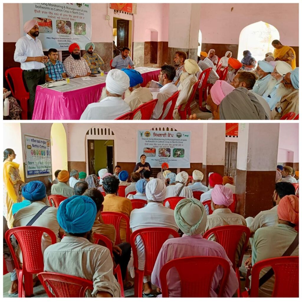 WhatsApp Image 2024 07 25 at 3.52.42 PM