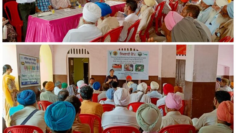 ਨਰਮੇਂ ਦੀ ਫਸਲ ’ਚ ਗੁਲਾਬੀ ਸੁੰਡੀ ਦੀ ਰੋਕਥਾਮ ਬਾਰੇ ਜਾਗਰੂਕਤਾ ਕੈਂਪ