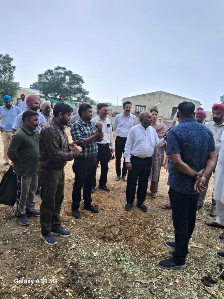 WhatsApp Image 2024 07 30 at 22.25.17