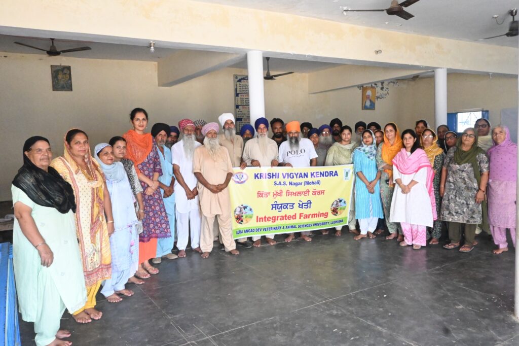 WhatsApp Image 2024 07 30 at 4.18.48 PM (1)