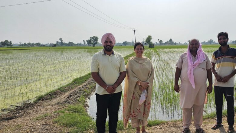 ਝੋਨੇ ਦੀ ਸਿੱਧੀ ਬਿਜਾਈ ਦੀ ਤਕਨੀਕ ਅਪਣਾਉਣ ਵਾਲੇ ਕਿਸਾਨ 15 ਜੁਲਾਈ ਤੱਕ ਆਨ-ਲਾਈਨ ਪੋਰਟਲ ਤੇ ਆਪਣਾ ਨਾਮ ਕਰਾ ਸਕਦੇ ਹਨ ਦਰਜ਼