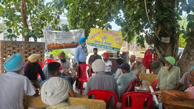 ਝੋਨੇ ਅਤੇ ਬਾਸਮਤੀ ਵਿੱਚ ਕੀਟਨਾਸ਼ਕਾਂ/ ਖਾਦਾਂ ਦੀ ਵਰਤੋਂ ਖੇਤੀ ਮਾਹਿਰਾਂ ਦੀ ਸਲਾਹ ਨਾਲ ਕੀਤੀ ਜਾਵੇ: ਮੁੱਖ ਖੇਤੀਬਾੜੀ ਅਫਸਰ