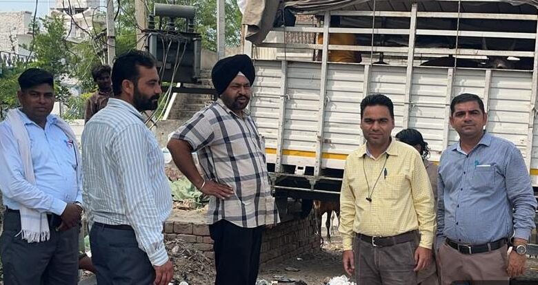 ਜਲਾਲਾਬਾਦ ਸ਼ਹਿਰ ਅੰਦਰ ਘੁੰਮ ਰਹੇ ਬੇਸਹਾਰਾ ਪਸੂਆਂ ਨੂੰ ਫਾਜਿਲਕਾ ਦੇ ਸਰਕਾਰੀ ਗਊਸ਼ਾਲਾ ਵਿਖੇ ਭੇਜਿਆ