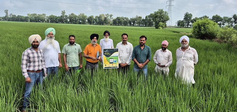 ਬਾਰਸ਼ ਪੈਣ ਨਾਲ ਝੋਨੇ ਦੀ ਫ਼ਸਲ ਦੀ ਹਾਲਤ ਵਧੀਆ,ਫਿਲਹਾਲ ਕਿਸੇ ਕੀਟਨਾਸ਼ਕ ਦੇ ਛਿੜਕਾਅ ਦੀ ਜ਼ਰੂਰਤ ਨਹੀਂ: ਮੁੱਖ ਖੇਤੀਬਾੜੀ ਅਫਸਰ