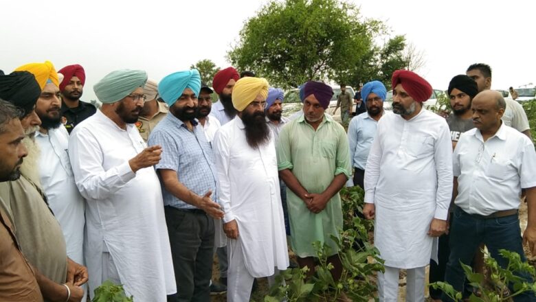 ਨਕਲੀ ਸ਼ੱਕੀ ਕੀਟਨਾਸ਼ਕ ਦਵਾਈਆਂ ਬਾਰੇ ਖੇਤੀਬਾੜੀ ਵਿਭਾਗ ਨੂੰ ਸੂਚਿਤ ਕਰਨ ਕਿਸਾਨ-ਗੁਰਮੀਤ ਸਿੰਘ ਖੁੱਡੀਆਂ