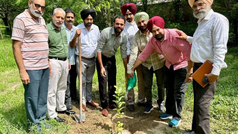 ਸਾਉਣੀ 2024 ਦੌਰਾਨ ਨਰਮੇਂ ਦੀ ਫ਼ਸਲ ਨੂੰ ਕਾਮਯਾਬ ਕਰਨ ਲਈ ਗਠਿਤ ਕਮੇਟੀ ਦੀ ਮੀਟਿੰਗ