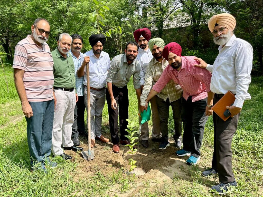 WhatsApp Image 2024 08 06 at 15.10.32