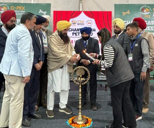 ਪਾਲਤੂ ਜਾਨਵਰਾਂ ਦੀ ਸੁਰੱਖਿਆ ਲਈ ਸਰਕਾਰ ਵਚਨਬੱਧ : ਖੁੱਡੀਆਂ