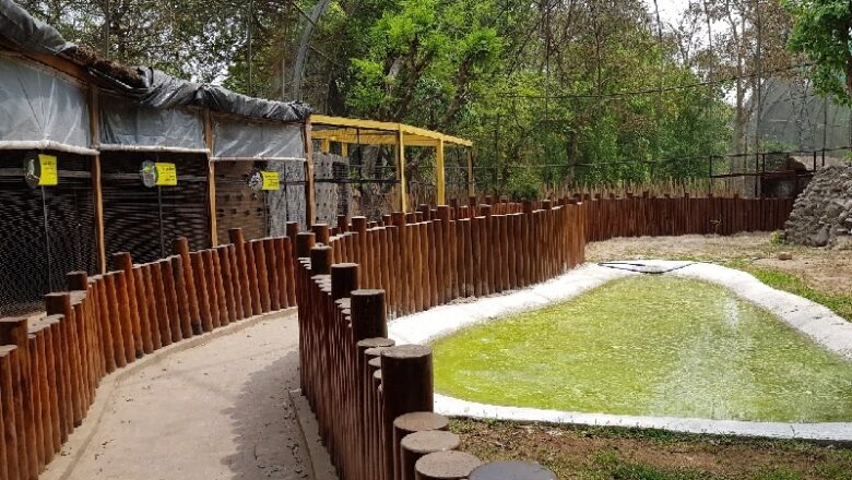 ਛੱਤਬੀੜ ‘ਚ ਬਣਿਆ ਦੇਸ਼ ਦਾ ਸਭ ਤੋਂ ਲੰਬਾ ਵਾਕ ਇਨ ਐਵੀਅਰੀ