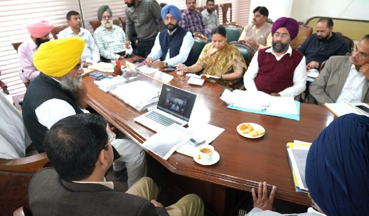 ਨਕਲੀ ਬੀਜਾਂ ਖਿਲਾਫ ਪੰਜਾਬ ਸਰਕਾਰ ਦਾ ਵੱਡਾ ਕਦਮ