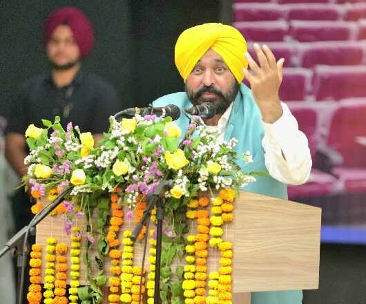 ਬੰਬਾਂ ਦੀ ਕਹਾਣੀ ਘੜ ਕੇ ਲੋਕਾਂ ਵਿੱਚ ਦਹਿਸ਼ਤ ਫੈਲਾ ਰਹੇ ਹਨ ਬਾਜਵਾ-ਭਗਵੰਤ ਮਾਨ