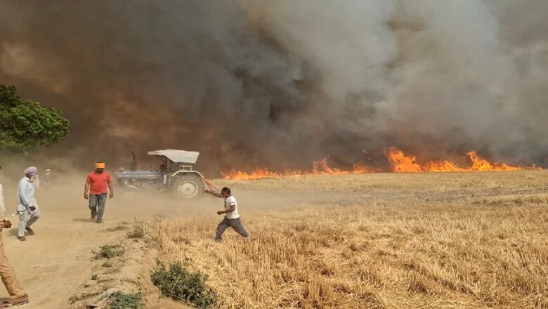 ਨੁਕਸਾਨੀ ਗਈ ਫਸਲ ਦਾ ਬਣਦਾ ਮੁਆਵਜ਼ਾ ਦਿੱਤਾ ਜਾਵੇਗਾ- ਸੰਧਵਾਂ