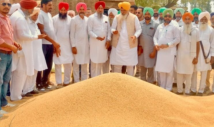 ਵਿਧਾਇਕ ਸੇਖੋਂ ਨੇ ਜੰਡ ਸਾਹਿਬ ਵਿਖੇ ਕਣਕ ਦੀ ਖਰੀਦ ਸ਼ੁਰੂ ਕਰਵਾਈ