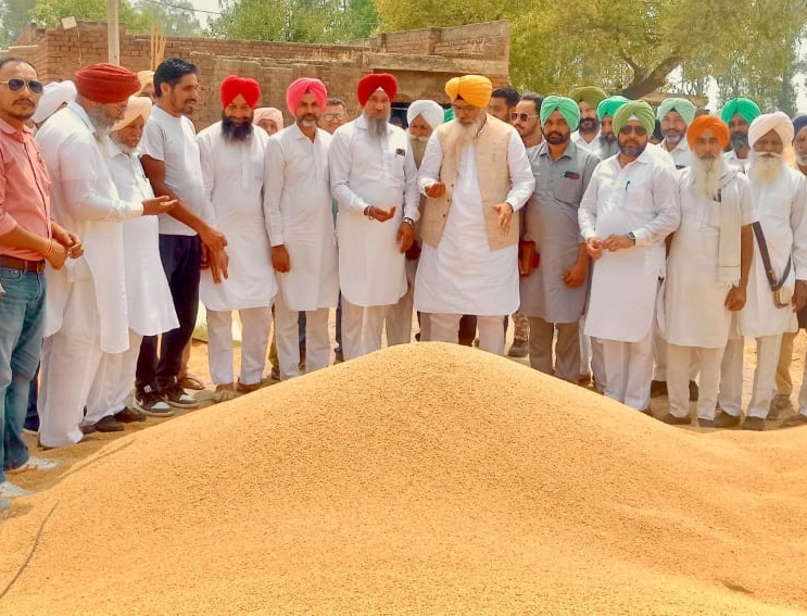 Wheat procurement