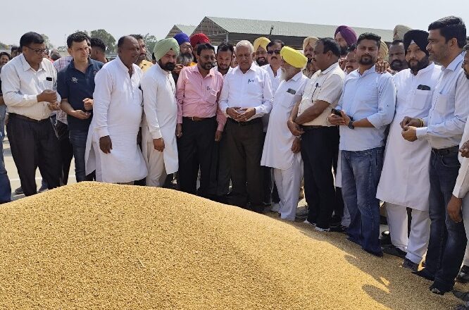 ਮੂਨਕ ਅਤੇ ਖਨੌਰੀ ਅਨਾਜ ਮੰਡੀਆਂ ਵਿੱਚ ਕਣਕ ਦੀ ਸਰਕਾਰੀ ਖਰੀਦ ਸ਼ੁਰੂ ਕਰਵਾਈ