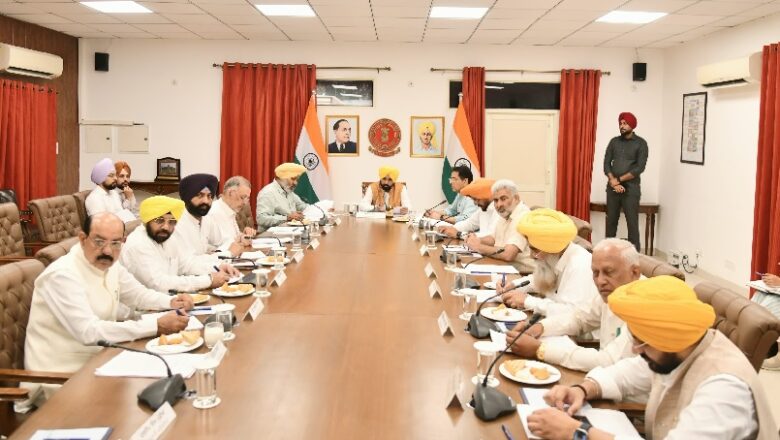 ਨਸ਼ਿਆਂ ਦੇ ਵਪਾਰ ਵਿੱਚ ਸ਼ਾਮਲ ਕਾਲੀਆਂ ਭੇਡਾਂ ਦੀ ਪਛਾਣ ਕੀਤੀ ਜਾਵੇਗੀ: ਮੁੱਖ ਮੰਤਰੀ