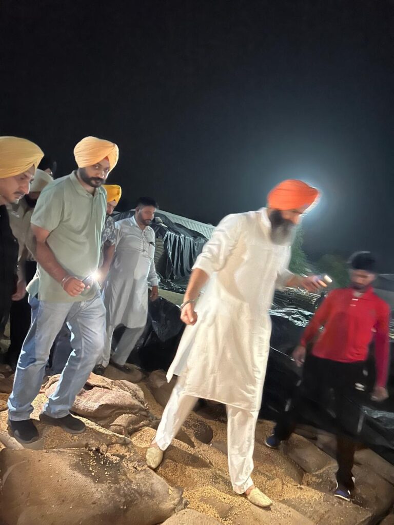 Whatsapp image 2025 08 03 at 10.06.58 pm