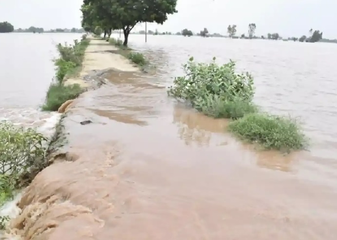 Floods in punjab