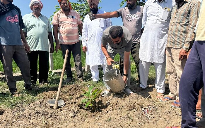 ਵਿਧਾਇਕ ਨਰਿੰਦਰ ਪਾਲ ਸਿੰਘ ਸਵਨਾ ਨੇ ਪਿੰਡ ਮੌਜਮ ਵਿਖੇ ਸੜਕ ਦੇ ਕੰਢਿਆ ਦੀ ਸਫਾਈ ਕਰਵਾ ਕੇ ਪੌਦੇ ਲਗਾਉਣ ਦੀ ਸ਼ੁਰੂਆਤ ਕੀਤੀ 