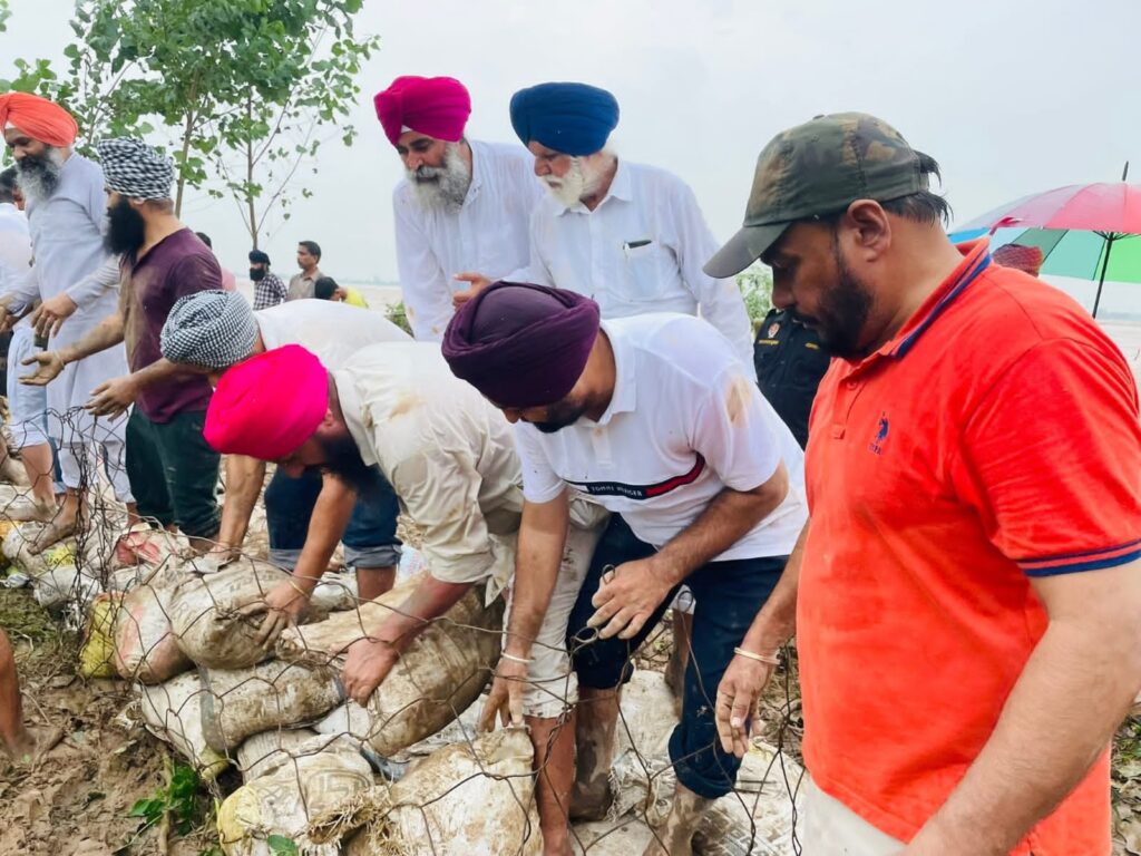 Whatsapp image 2025 09 04 at 8.17.24 pm (1)