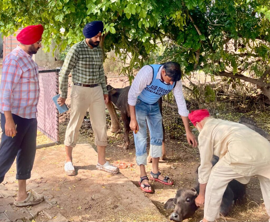 Whatsapp image 2025 09 07 at 2.49.07 pm (1) copy