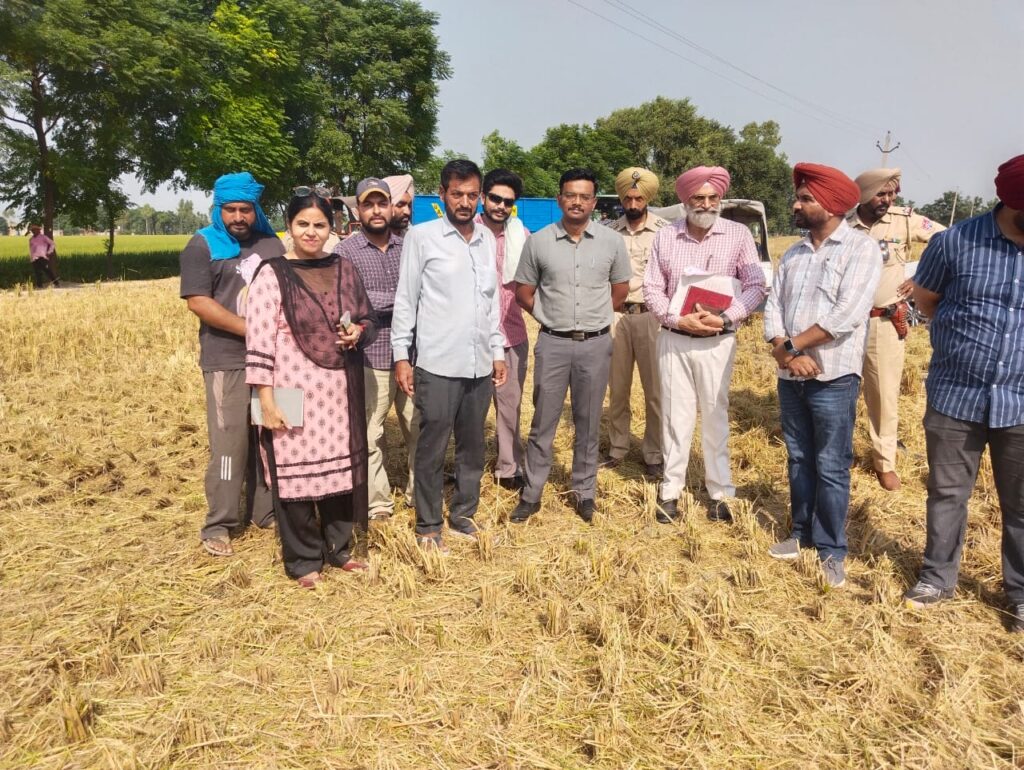 Whatsapp image 2025 09 26 at 4.55.00 pm (1)