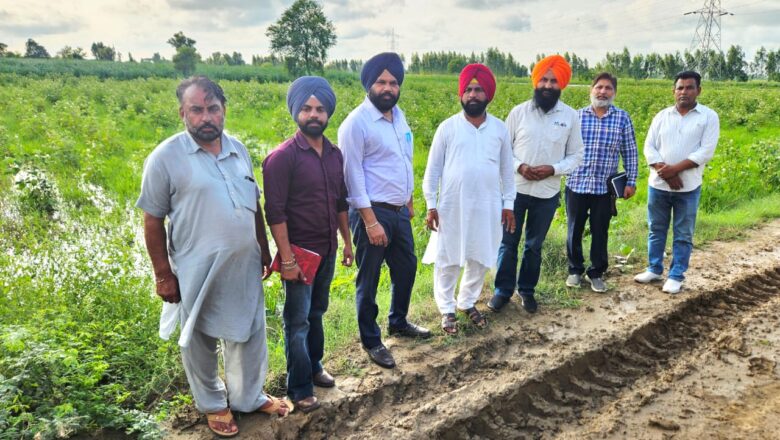ਖੇਤੀਬਾੜੀ ਅਤੇ ਕਿਸਾਨ ਭਲਾਈ ਵਿਭਾਗ ਵੱਲੋਂ ਕੀਤਾ ਗਿਆ ਭਾਰੀ ਬਾਰਿਸ਼ਾਂ ਨਾਲ ਪ੍ਰਭਾਵਿਤ ਹੋਏ ਰਕਬੇ ਦਾ ਦੌਰਾ