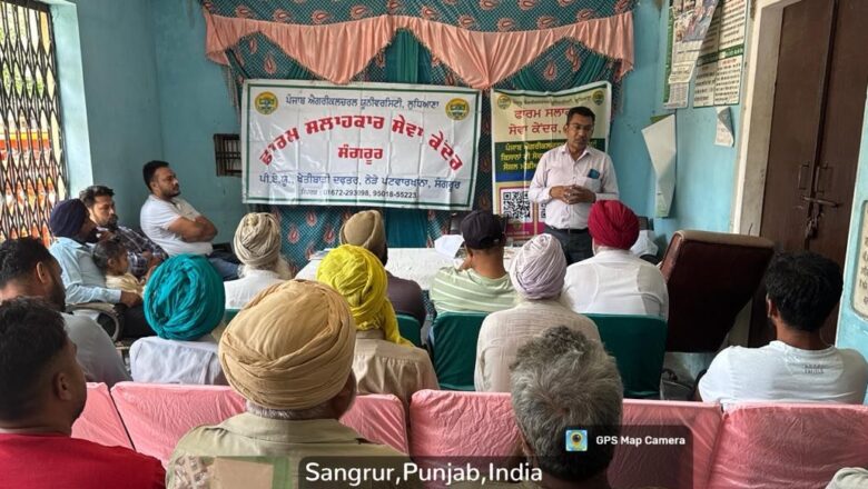 ਲਗਾਤਾਰ ਮੀਂਹ ਤੋਂ ਪ੍ਰਭਾਵਿਤ ਝੋਨੇ ਅਤੇ ਬਾਸਮਤੀ ਤੋਂ ਚੰਗਾ ਝਾੜ ਲੈਣ ਲਈ ਲਗਾਇਆ ਜਾਗਰੂਕਤਾ ਕੈਂਪ