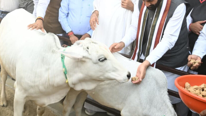 गोपाष्टमीः गौशालाओं को आत्मनिर्भर बनाने के प्रयास में सहभागी बने आमजन मुख्यमंत्री नायब सिंह सैनी