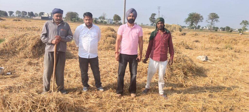 Whatsapp image 2025 10 25 at 2.24.13 pm