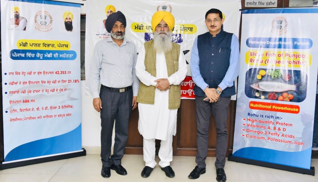 Whatsapp image 2025 10 31 at 5.42.50 pm (1)