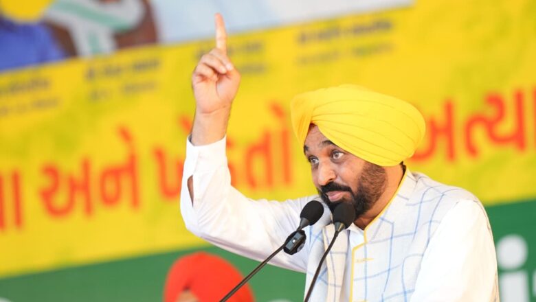 ਕਿਸਾਨਾਂ ‘ਤੇ ਅੱਤਿਆਚਾਰ ਭਾਜਪਾ ਦੇ ਤਾਬੂਤ ਵਿੱਚ ਆਖਰੀ ਕਿੱਲ ਸਾਬਤ ਹੋਣਗੇ: ਮੁੱਖ ਮੰਤਰੀ